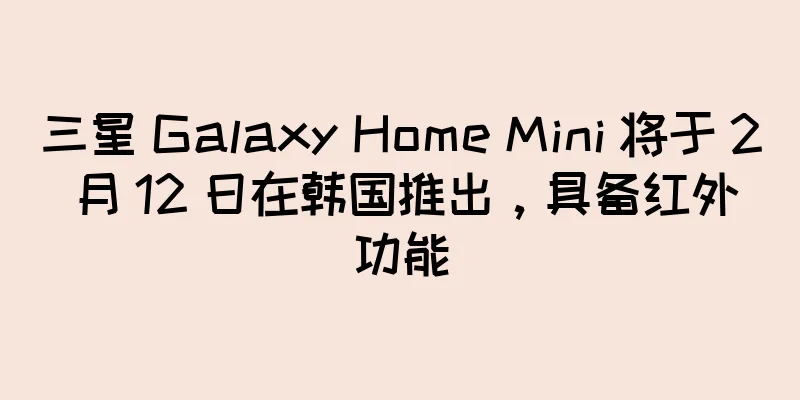 三星 Galaxy Home Mini 将于 2 月 12 日在韩国推出，具备红外功能