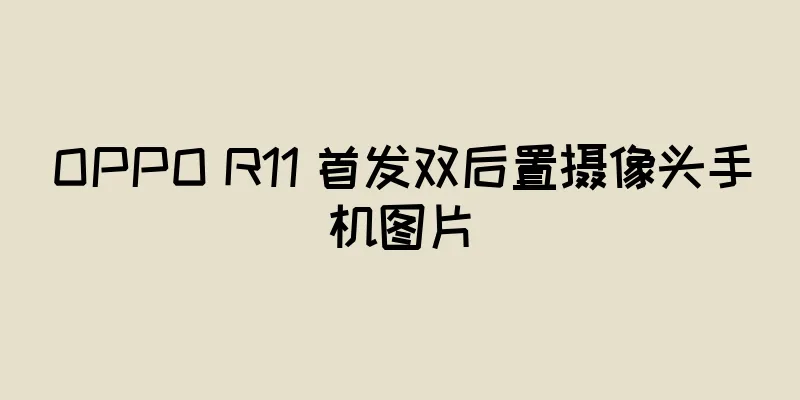 OPPO R11 首发双后置摄像头手机图片
