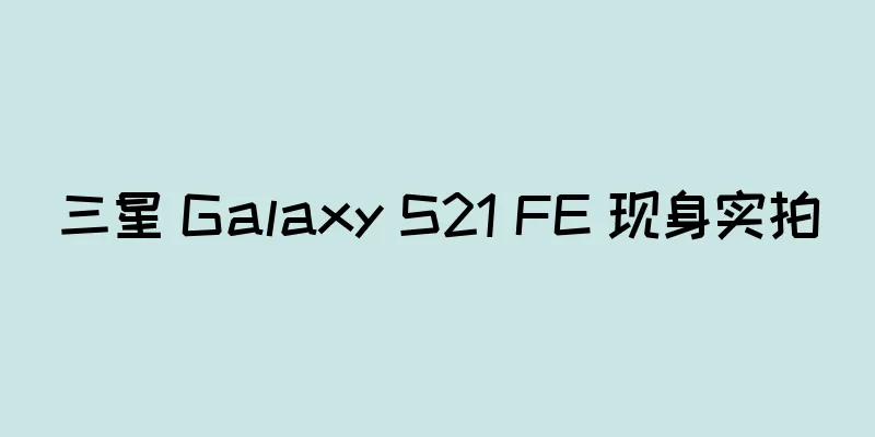 三星 Galaxy S21 FE 现身实拍