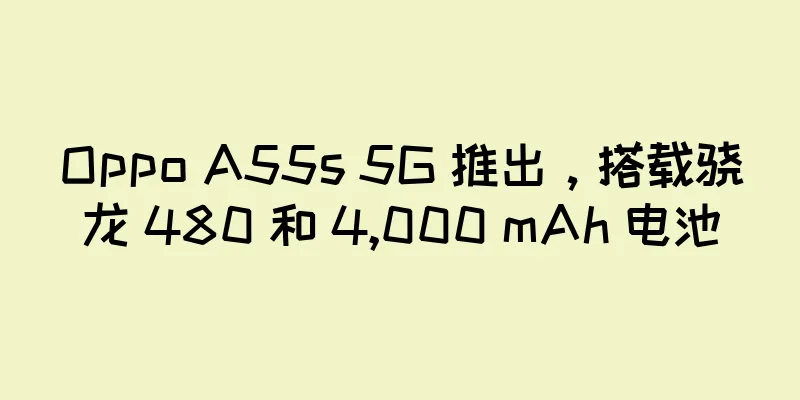 Oppo A55s 5G 推出，搭载骁龙 480 和 4,000 mAh 电池