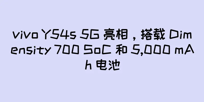 vivo Y54s 5G 亮相，搭载 Dimensity 700 SoC 和 5,000 mAh 电池