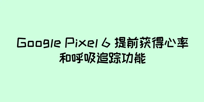 Google Pixel 6 提前获得心率和呼吸追踪功能