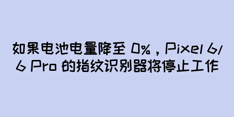 如果电池电量降至 0%，Pixel 6/6 Pro 的指纹识别器将停止工作