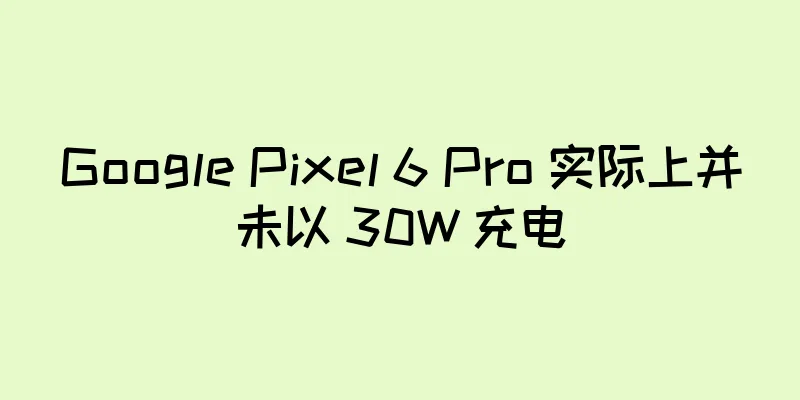 Google Pixel 6 Pro 实际上并未以 30W 充电