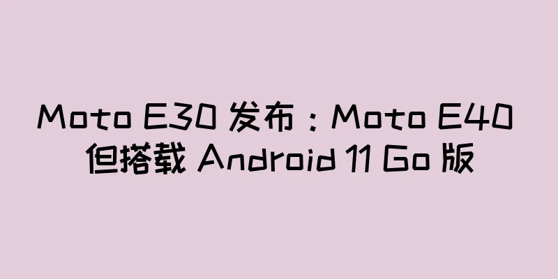 Moto E30 发布：Moto E40 但搭载 Android 11 Go 版