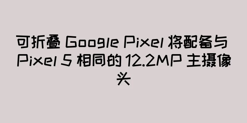 可折叠 Google Pixel 将配备与 Pixel 5 相同的 12.2MP 主摄像头