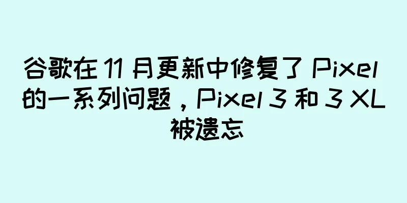 谷歌在 11 月更新中修复了 Pixel 的一系列问题，Pixel 3 和 3 XL 被遗忘