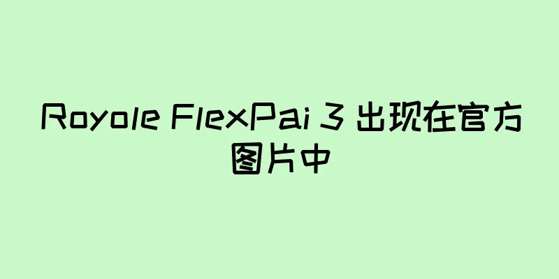 Royole FlexPai 3 出现在官方图片中