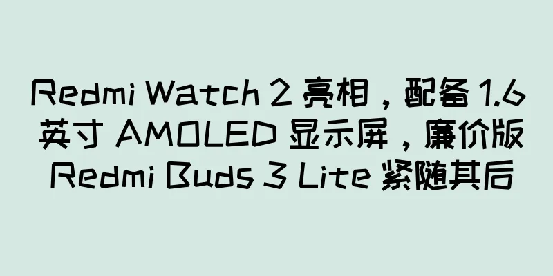 Redmi Watch 2 亮相，配备 1.6 英寸 AMOLED 显示屏，廉价版 Redmi Buds 3 Lite 紧随其后