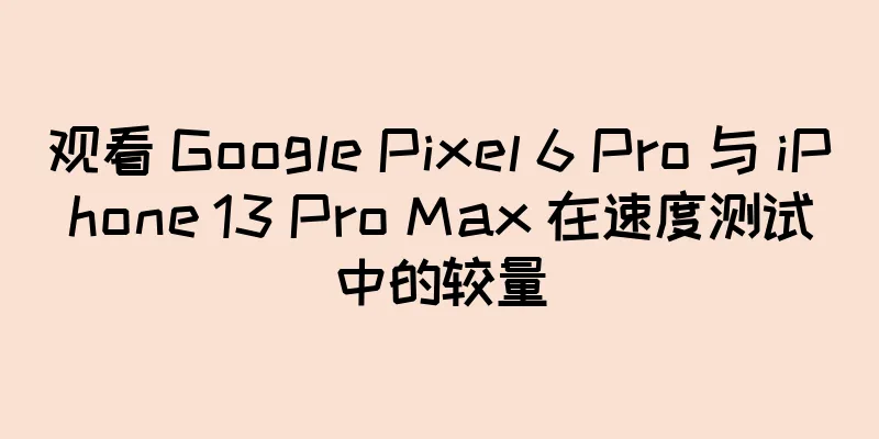 观看 Google Pixel 6 Pro 与 iPhone 13 Pro Max 在速度测试中的较量