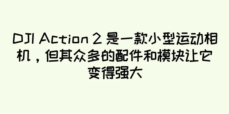 DJI Action 2 是一款小型运动相机，但其众多的配件和模块让它变得强大