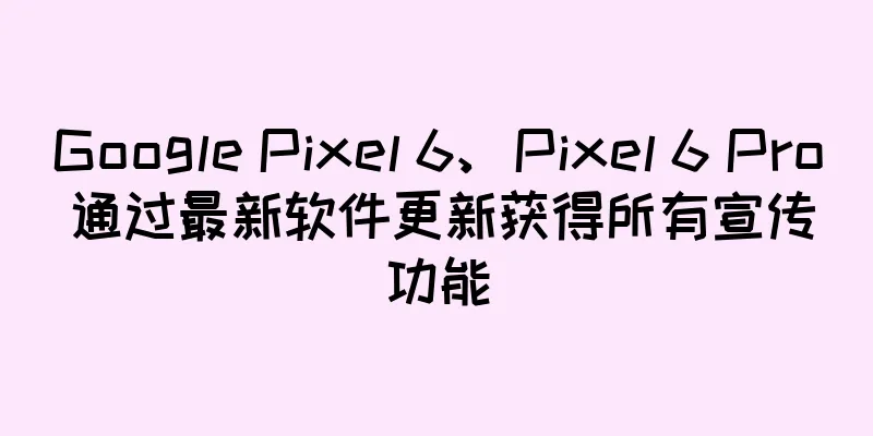 Google Pixel 6、Pixel 6 Pro 通过最新软件更新获得所有宣传功能