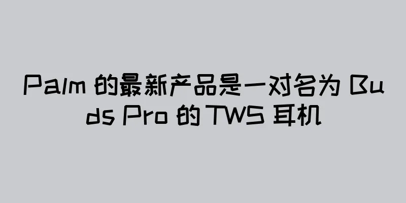 Palm 的最新产品是一对名为 Buds Pro 的 TWS 耳机