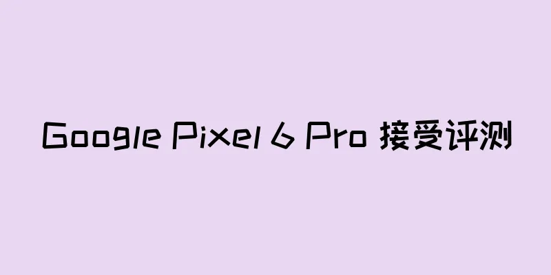 Google Pixel 6 Pro 接受评测
