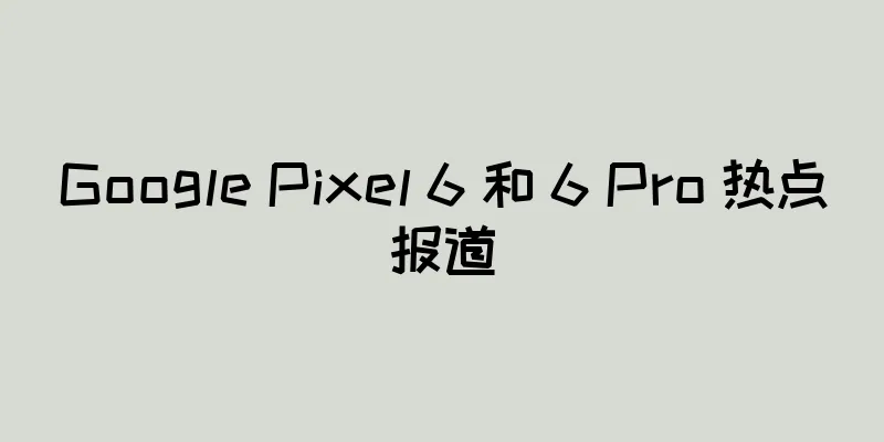 Google Pixel 6 和 6 Pro 热点报道