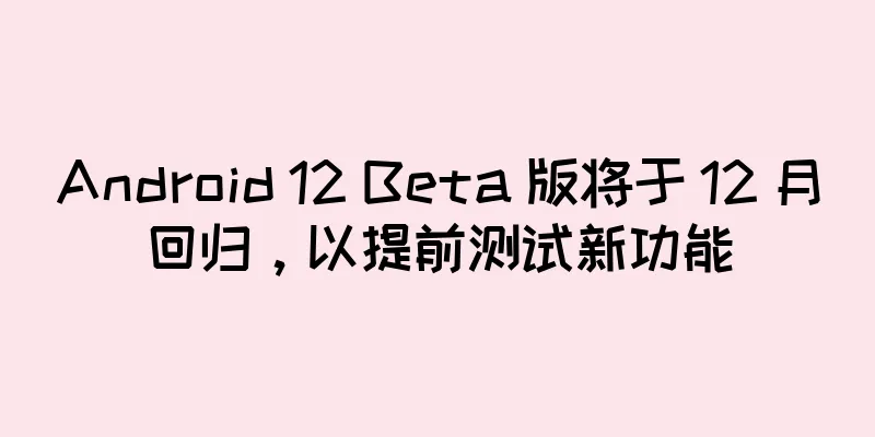 Android 12 Beta 版将于 12 月回归，以提前测试新功能