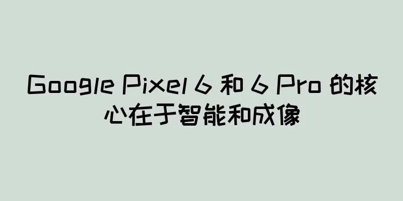 Google Pixel 6 和 6 Pro 的核心在于智能和成像