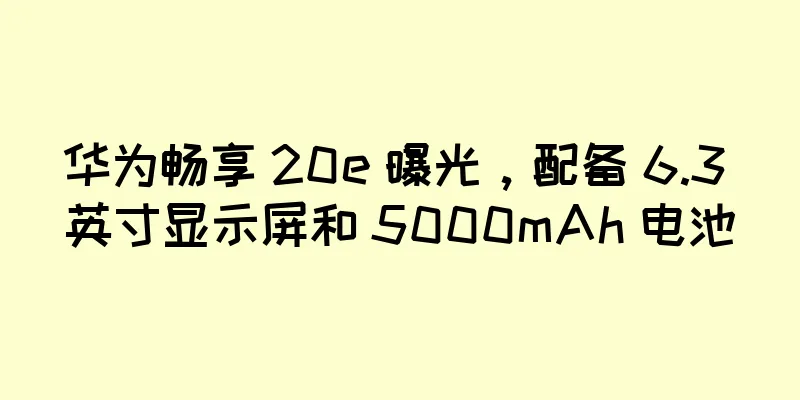 华为畅享 20e 曝光，配备 6.3 英寸显示屏和 5000mAh 电池