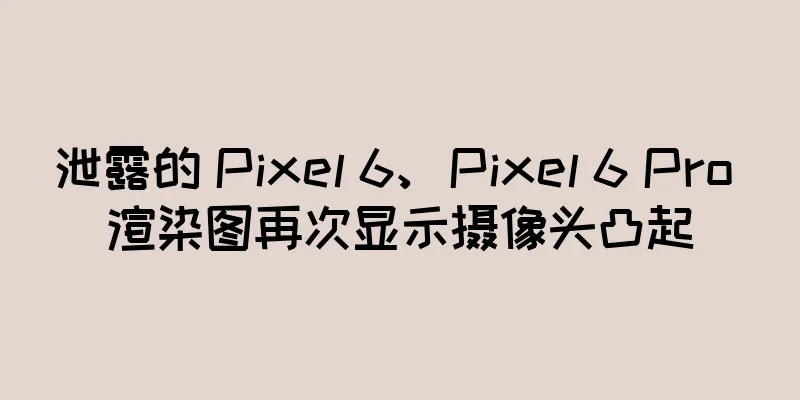 泄露的 Pixel 6、Pixel 6 Pro 渲染图再次显示摄像头凸起