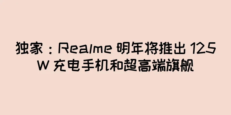 独家：Realme 明年将推出 125W 充电手机和超高端旗舰