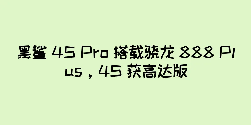 黑鲨 4S Pro 搭载骁龙 888 Plus，4S 获高达版