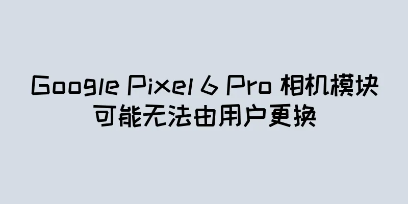 Google Pixel 6 Pro 相机模块可能无法由用户更换
