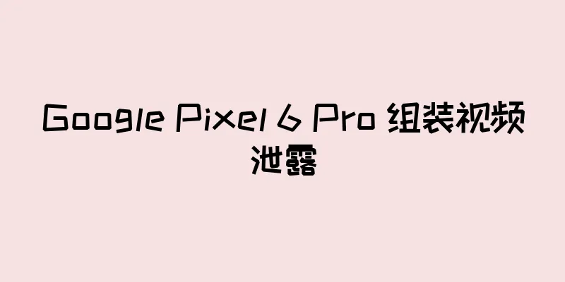 Google Pixel 6 Pro 组装视频泄露