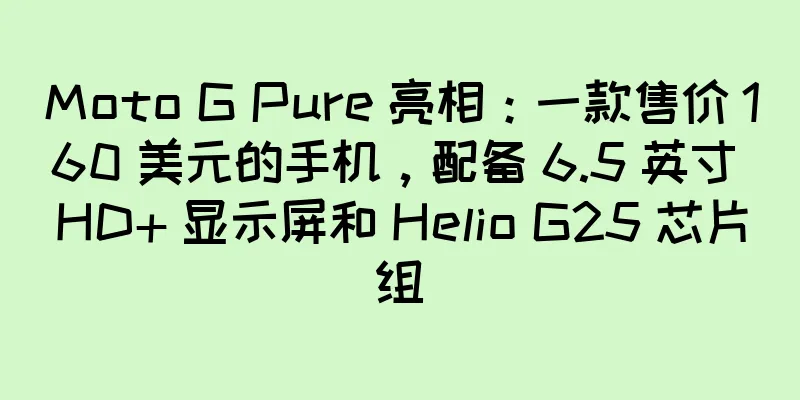Moto G Pure 亮相：一款售价 160 美元的手机，配备 6.5 英寸 HD+ 显示屏和 Helio G25 芯片组