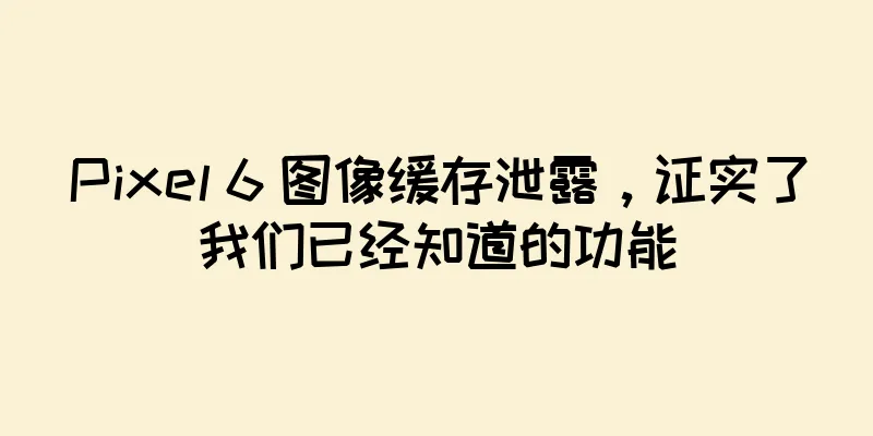 Pixel 6 图像缓存泄露，证实了我们已经知道的功能