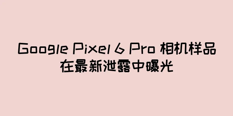 Google Pixel 6 Pro 相机样品在最新泄露中曝光