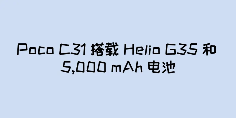 Poco C31 搭载 Helio G35 和 5,000 mAh 电池