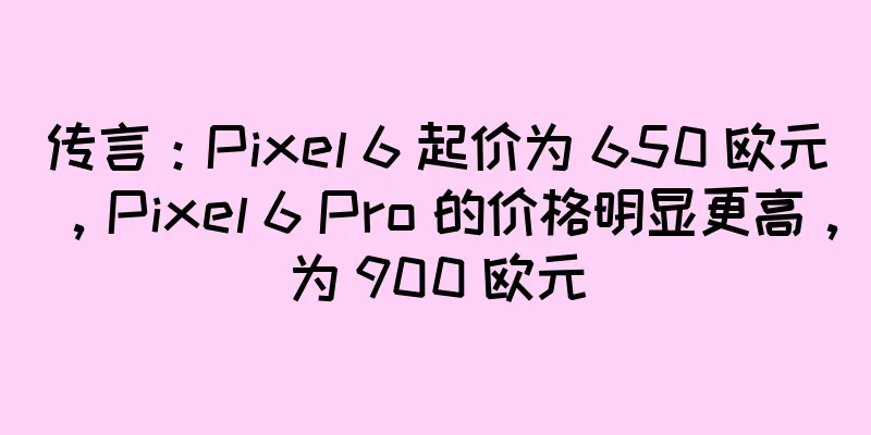 传言：Pixel 6 起价为 650 欧元，Pixel 6 Pro 的价格明显更高，为 900 欧元