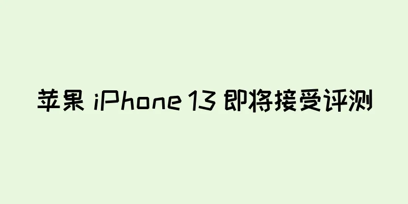 苹果 iPhone 13 即将接受评测
