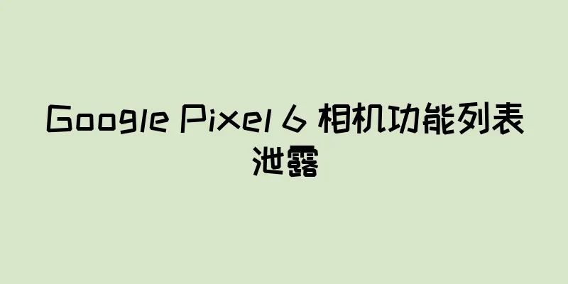 Google Pixel 6 相机功能列表泄露