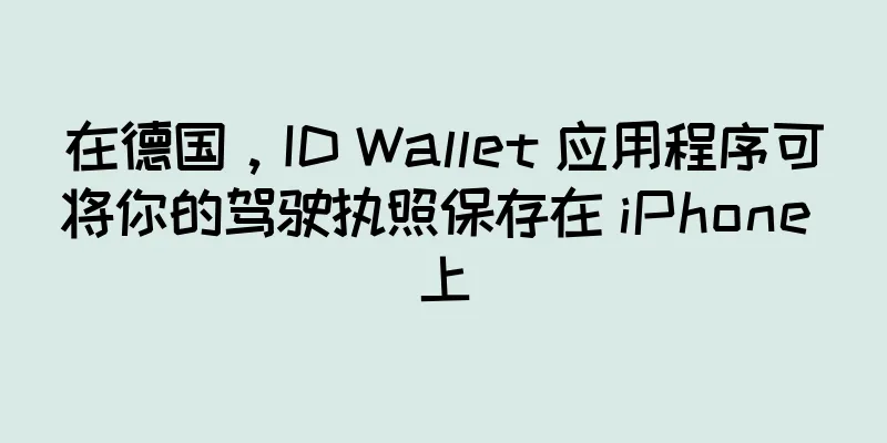 在德国，ID Wallet 应用程序可将你的驾驶执照保存在 iPhone 上