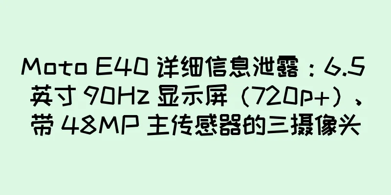 Moto E40 详细信息泄露：6.5 英寸 90Hz 显示屏（720p+）、带 48MP 主传感器的三摄像头