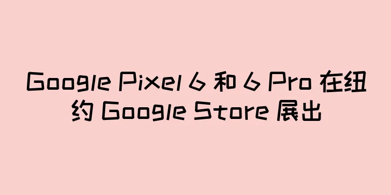 Google Pixel 6 和 6 Pro 在纽约 Google Store 展出