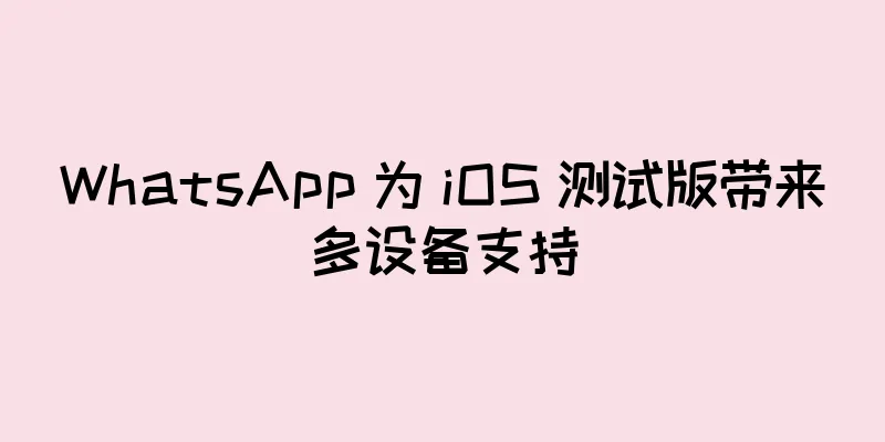WhatsApp 为 iOS 测试版带来多设备支持