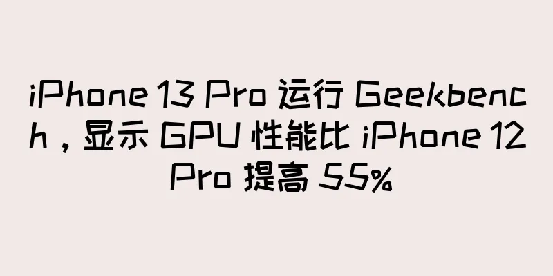 iPhone 13 Pro 运行 Geekbench，显示 GPU 性能比 iPhone 12 Pro 提高 55%