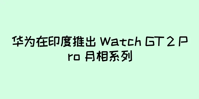 华为在印度推出 Watch GT 2 Pro 月相系列