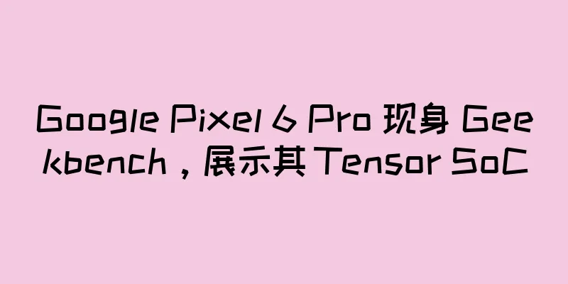 Google Pixel 6 Pro 现身 Geekbench，展示其 Tensor SoC