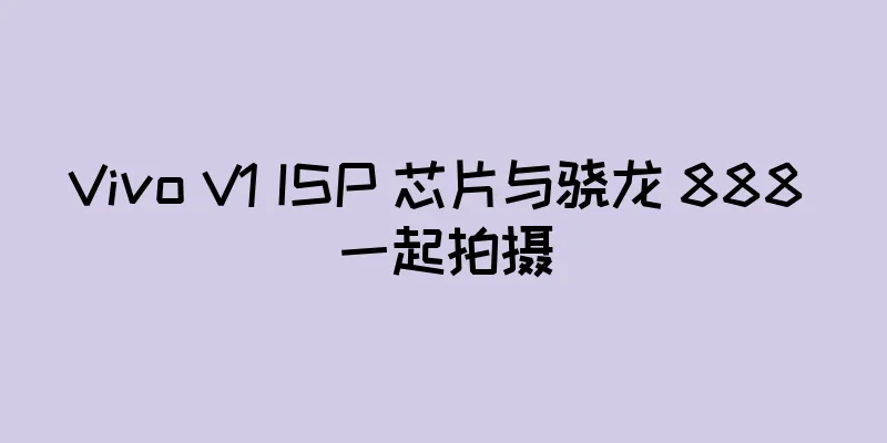 Vivo V1 ISP 芯片与骁龙 888 一起拍摄