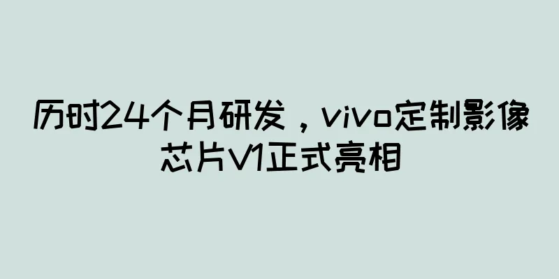 历时24个月研发，vivo定制影像芯片V1正式亮相