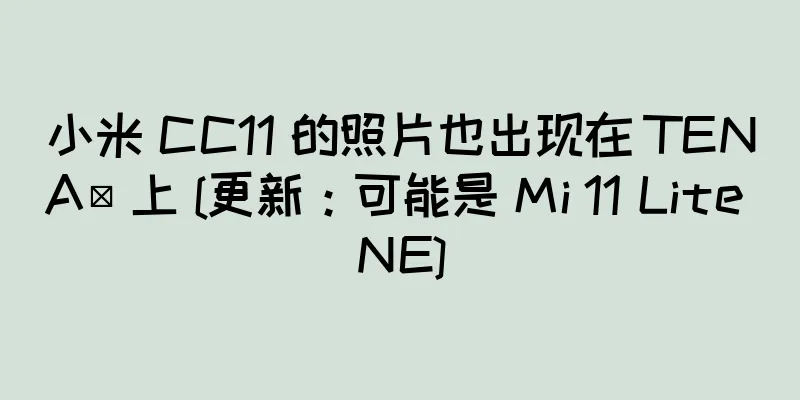小米 CC11 的照片也出现在 TENAА 上 [更新：可能是 Mi 11 Lite NE]