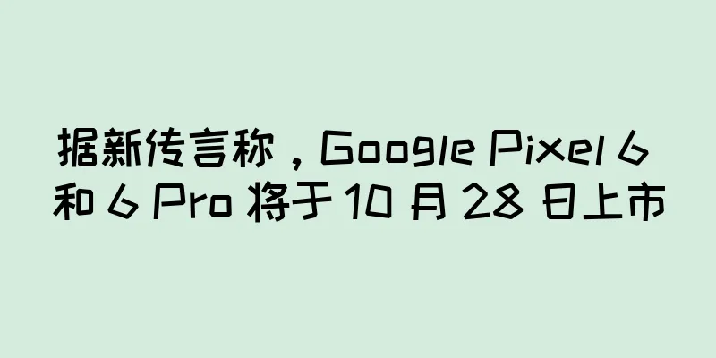 据新传言称，Google Pixel 6 和 6 Pro 将于 10 月 28 日上市