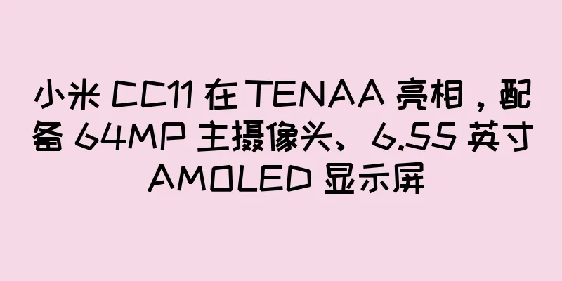 小米 CC11 在 TENAA 亮相，配备 64MP 主摄像头、6.55 英寸 AMOLED 显示屏