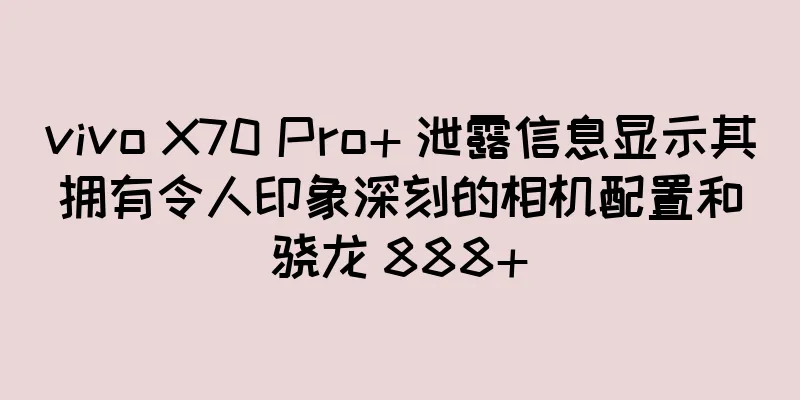 vivo X70 Pro+ 泄露信息显示其拥有令人印象深刻的相机配置和骁龙 888+