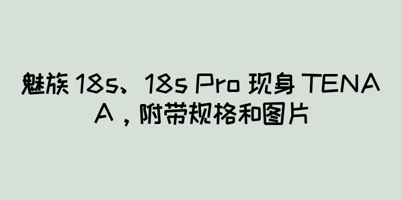 魅族 18s、18s Pro 现身 TENAA，附带规格和图片
