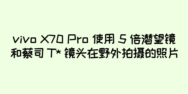 vivo X70 Pro 使用 5 倍潜望镜和蔡司 T* 镜头在野外拍摄的照片