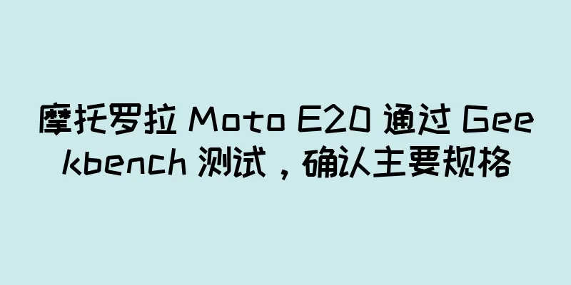 摩托罗拉 Moto E20 通过 Geekbench 测试，确认主要规格